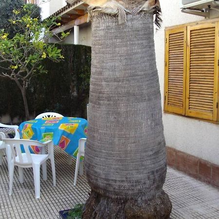 La Casa De La Palmera Apartment Torrevieja Exterior photo