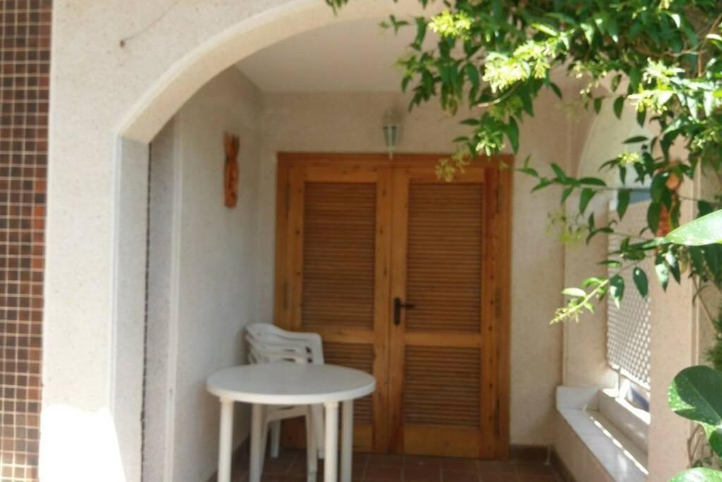 La Casa De La Palmera Apartment Torrevieja Exterior photo