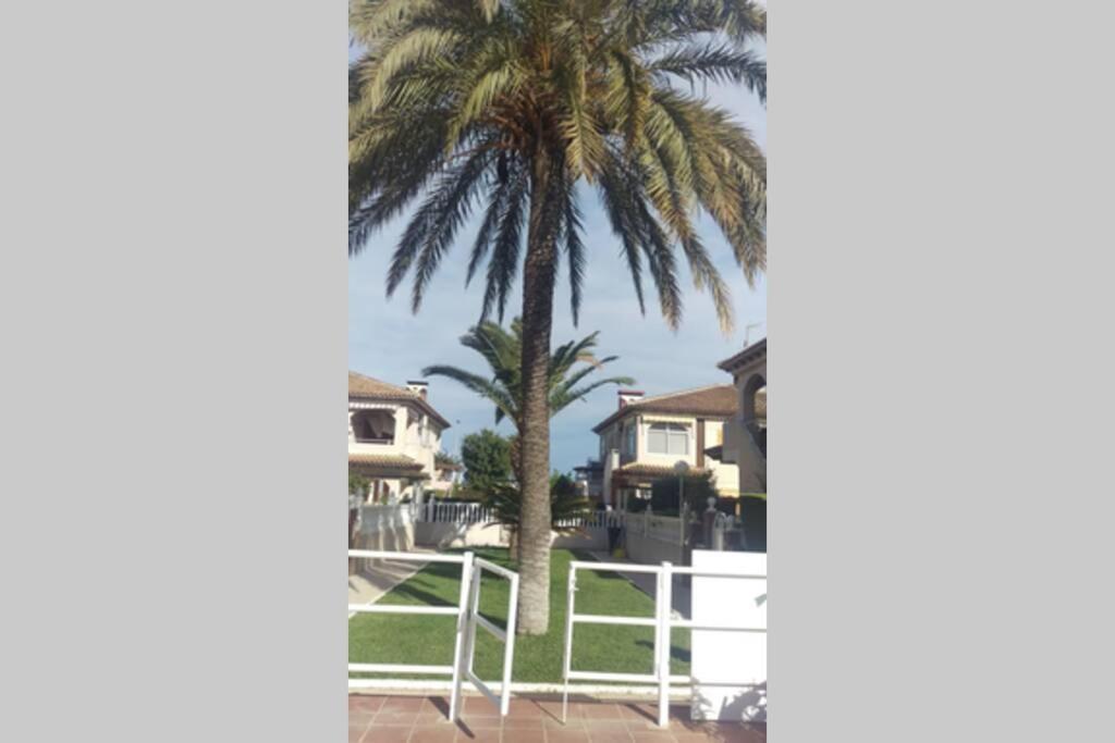 La Casa De La Palmera Apartment Torrevieja Exterior photo